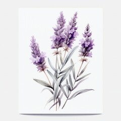 Watercolor Lavender on white background Generative AI