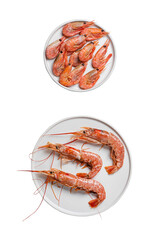 Red prawn or shrimp isolated on white background with clipping path. Full Depth of field. Focus stacking. PNG. Top view