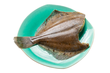 Sole fish without Skin - Flatfish isolated on white background with clipping path. Full Depth of field. Focus stacking. PNG