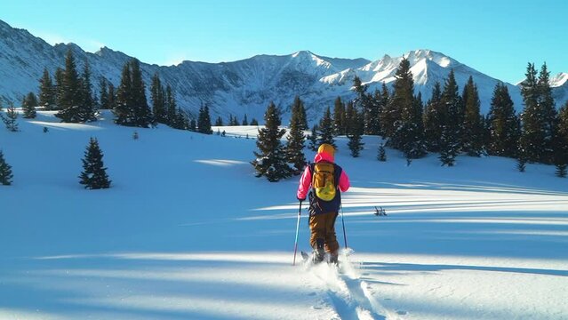 Cinematic stunning Colorado early morning Rocky Mountain backcountry skier split boarder up hill hiking fresh snow top peaks light treeline level Copper Breckenridge Aspen Vail follow pan