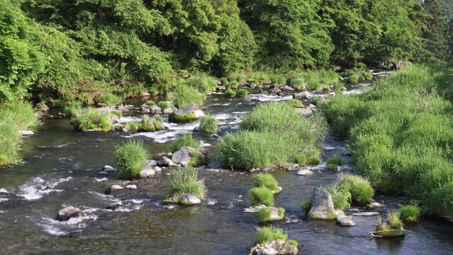 小さな岩が点在する緑に囲まれた清流の風景。
