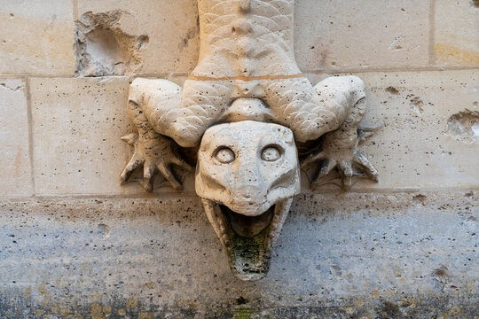 Eidechse als Steinfigur im  Schloss Pierrefonds bei Compiegne
