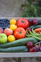Wooden crate full of healthy seasonal fruit and vegetable, in the garden. Selective focus.