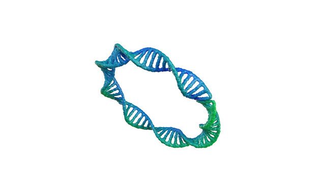 Circular DNA molecule ed icon rendering isolated