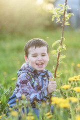 Beautiful little baby boy playing with a young sapling in the summer garden