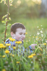 Cute baby with a dandelion flower in a summer park. A happy child in the fresh air.