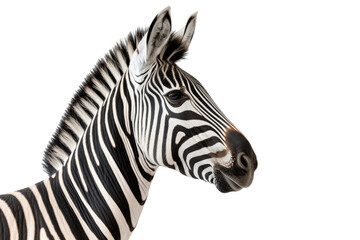 Naklejka na ściany i meble A zebra, isolated, white background, generative ai