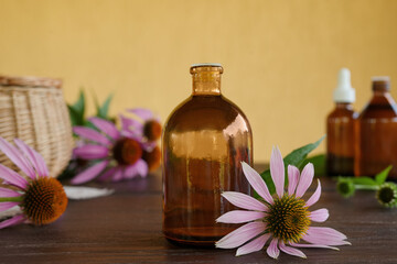 Echinacea purpurea essential oil (tincture, remedy, infusion) bottle with fresh flowers. Flower essential oil. Herbal medicine. Side view, copy space.