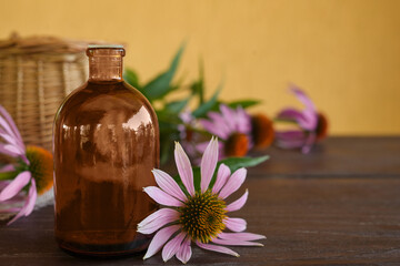 Fragrant medical tincture of Echinacea purpurea in a glass bottles. Concrept of Herbal or homeopathy medicine. Flower essential oil. Herbal medicine. Side view, copy space for text.