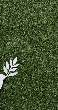 Vertical video of white dove with leaf and copy space on grass background
