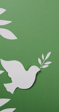 Vertical video of white dove with leaves and copy space on green background