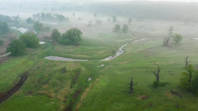Aerial view of the fairy-tale landscape of the Polish Rogalinski Landscape Park with meanders shrouded in fog