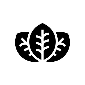 coca leaves glyph icon