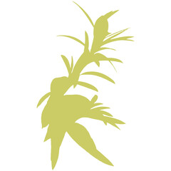 Tropical branch and plants.