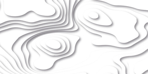 Fototapeta premium Background of the topographic map. White wave paper curved reliefs abstract background. Topographic line contour map background. Black and white topography contour lines map isolated.
