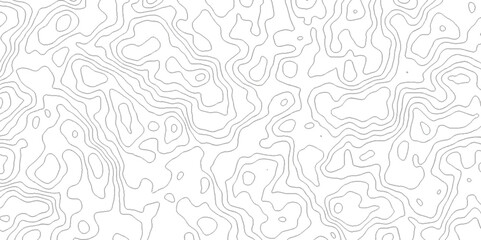 Background of the topographic map. White wave paper curved reliefs abstract background. Topographic line contour map background. Black and white topography contour lines map isolated.