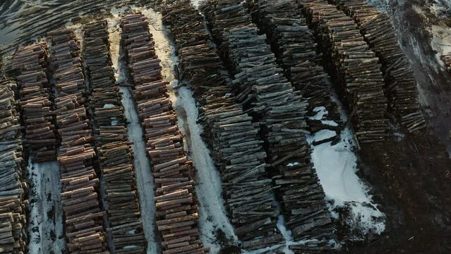 Overhead drone view of large stockpile of logs taken from Canadian forests in Thurso Quebec Canada during winter