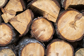 Fototapeta premium Background from round wooden trunks. Wooden logs and stumps. Winter stocks of firewood.
