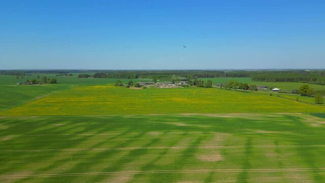 Flying over newly sowed fields of young crops on a perfect summers day