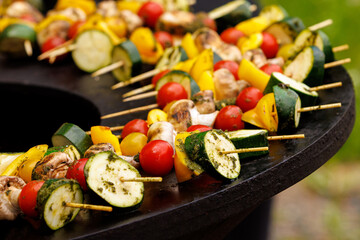 Outdoor Grilling of Vegetables During a Summer Picnic.