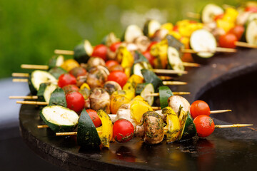 Grilled Vegetables: Raw Vegetables Prepared for Grilling with the Olive Oil, Herbs, and Spices.