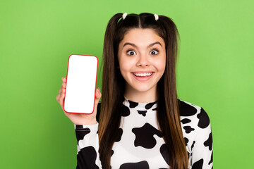 Photo of cheerful astonished girl toothy smile hand hold showing empty space smart phone display...