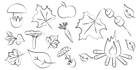 Set of outline doodle autumn elements. Black circuit vector illustration. Icon seasonal collection for design. Leaves, fall, apple, harvest, mushroom. Contour clipart for card, holiday decoration