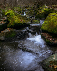 A beautiful mountain stream flowing among large boulders covered with moss in the taiga forest. Small taiga river.