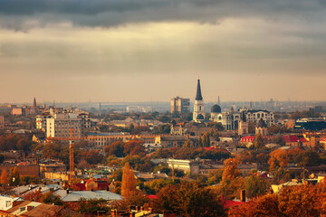 Autumn city and trees, from a bird's eye view