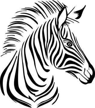 Zebra animal svg vector cut file cricut silhouette design for cloth t-shirt car decoration sticker books  etc
