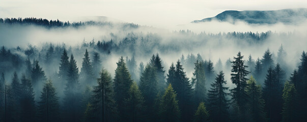 Misty foggy mountain with green forest and copyspace for your text.