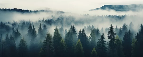 Washable wall murals Forest in fog Misty foggy mountain with green forest and copyspace for your text.