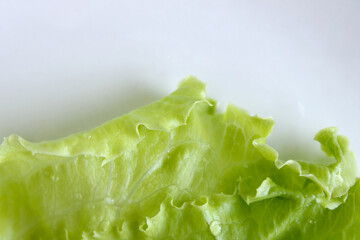 Green Lettuce Salad On White Background 1
