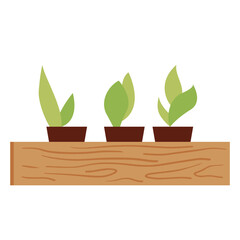 Vector drawing of a cute box with seedlings. Plants in a wooden box. Vector illustration of gardening isolated on white background