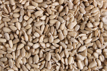 Sunflower Seeds Pile Background
