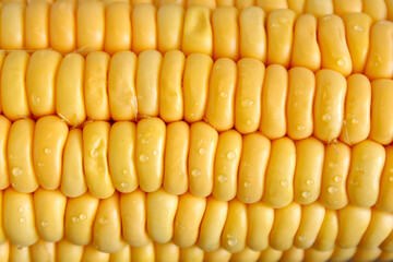 Yellow Corn Surface Pattern Closeup