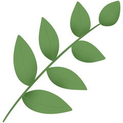 Simple green leavesd for decoration