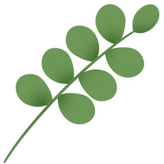 Obraz premium Simple green leavesd for decoration
