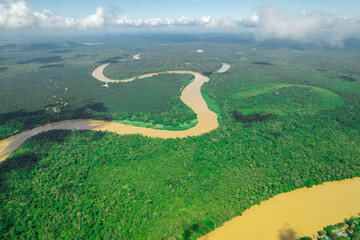 Les arbres de la forêt tropicale humide dense et sous les effet de la deforestation prés de la riviere Kinabatangan (vue aerienne en drone) sur l'ile de Borneo Malaisie