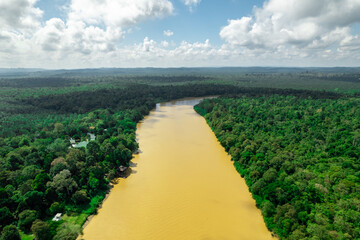 Les arbres de la forêt tropicale humide dense et sous les effet de la deforestation prés de la riviere Kinabatangan (vue aerienne en drone) sur l'ile de Borneo Malaisie