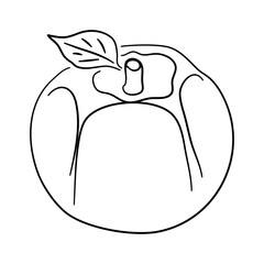 Icon of Persimmon. Hand drawn sketch. Retro vintage design. Vector illustration.