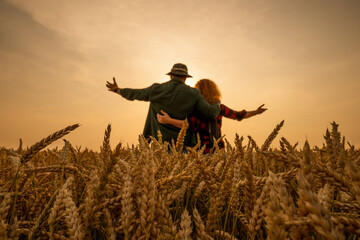 Happy man and woman are standing in their agricultural field in sunset. They are cultivating wheat...