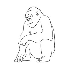 Gorilla illustration in doodle style. Vector isolated on a white background.