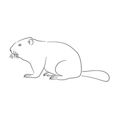 Beaver illustration in doodle style. Vector isolated on a white background.