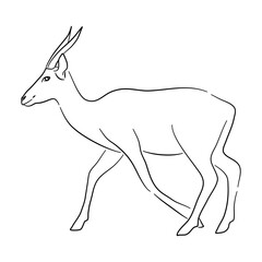 Antelope illustration in doodle style. Vector isolated on a white background.