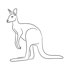 Sketch drawing of a Kangaroo isolated on a white background. Vector illustration.