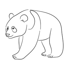 Sketch drawing of a Panda isolated on a white background. Vector illustration.