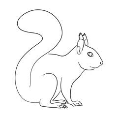 Squirrel illustration in doodle style. Vector isolated on a white background.