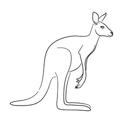 Kangaroo illustration in doodle style. Vector isolated on a white background.