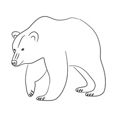 Brown bear illustration in doodle style. Vector isolated on a white background.